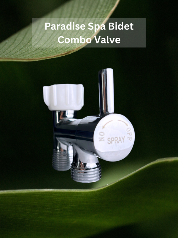 Paradise Spa Bidet Combo Valve