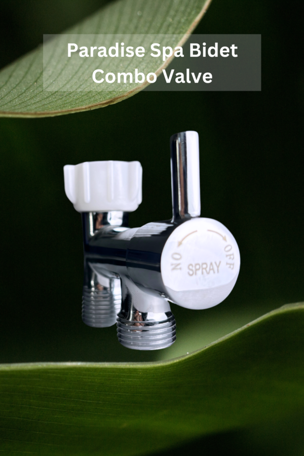 Paradise Spa Bidet Combo Valve